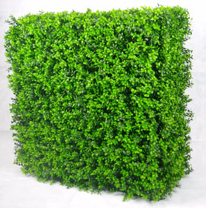 Portable Buxus Hedge Uv Stabilised 75Cm X