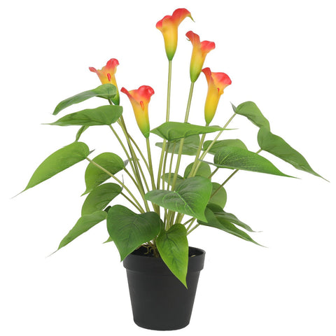 Artificial Plants Artificial Flowering White & Orange Peace Lily / Calla Plant 50Cm