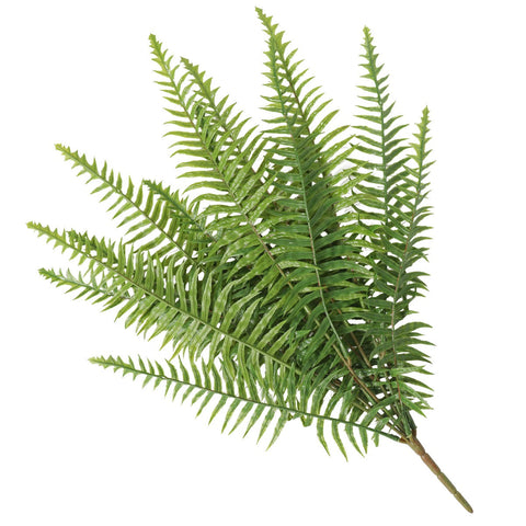 Artificial Plants Artificial Fern (Lady Fern) 50Cm Uv Resistant