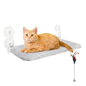 Pet Beds Petswol Foldable Cordless Cat Window Perch For Wall With Strong Suction Cups