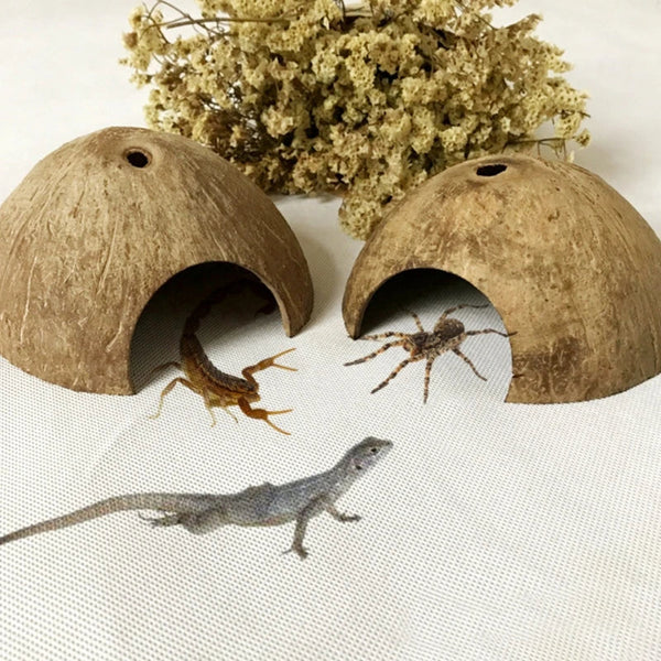 Reptiles Hiding Cave House Feeding Case Aquarium Ornaments Coconut For Shell Decoration Spider Tarantul