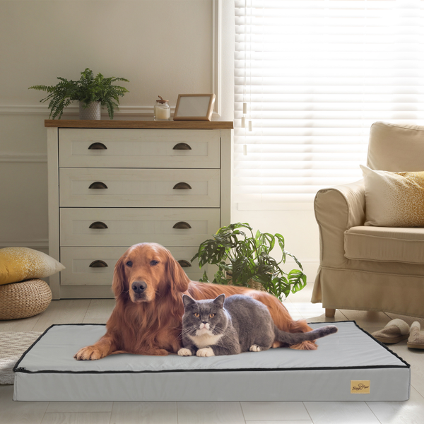 Pet Beds Gray Orthopedic Pet Calming Bed Soft Sponge Foam Base With Removable Cover