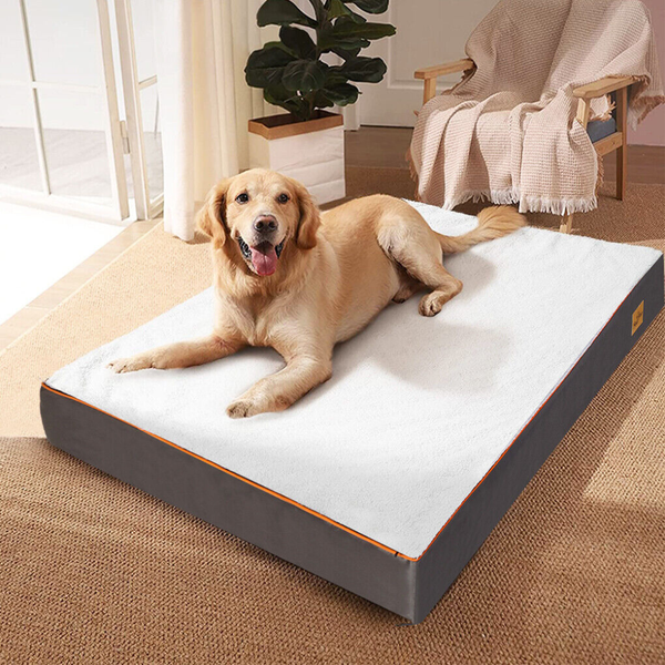 Pet Beds Gray Orthopedic Pet Calming Bed Soft Sponge Foam Base With Removable Cover