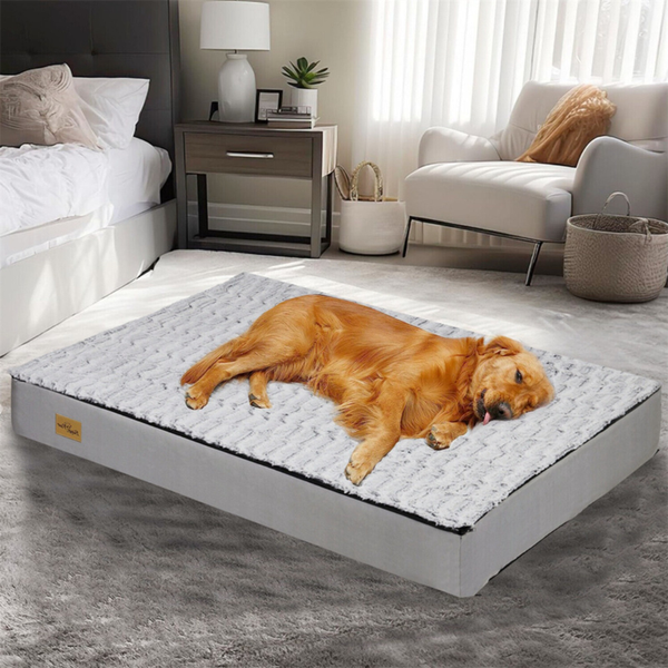 Pet Beds Gray Orthopedic Pet Calming Bed Soft Sponge Foam Base With Removable Cover