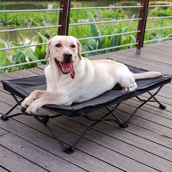 Pet Beds Large Elevated Folding Pet Bed