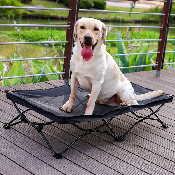 Pet Beds Large Elevated Folding Pet Bed