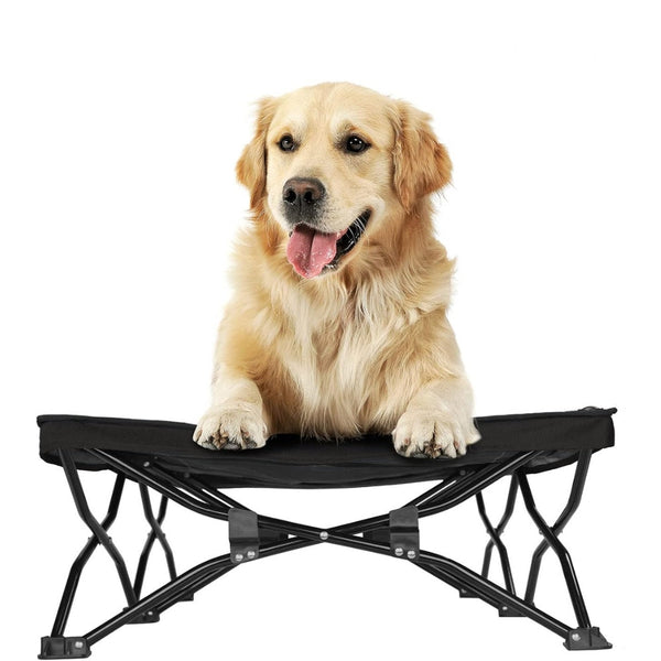 Pet Beds Large Elevated Folding Pet Bed