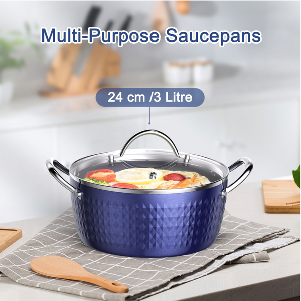 Saucepans & Stockpots 24Cm 2.2L Casserole Dish Induction Saucepan