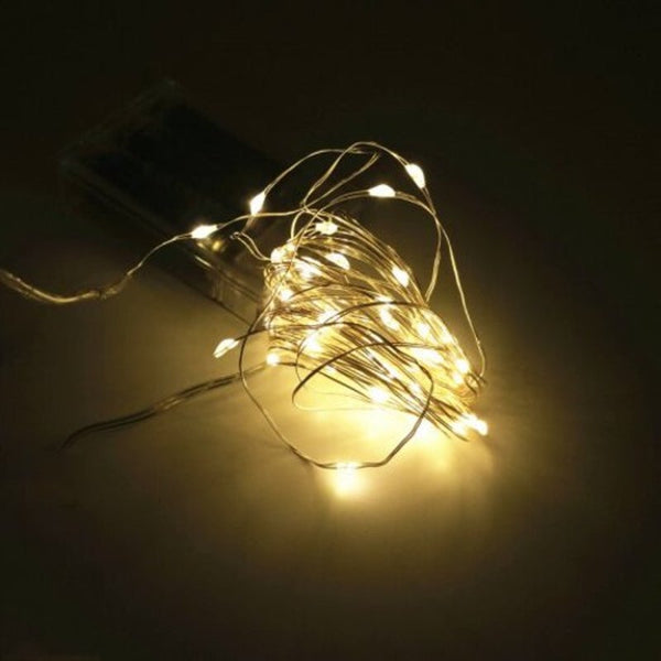 String Lights 2M 20 Led Silver Wire Strip Light Battery Operated 1Pc Warm White