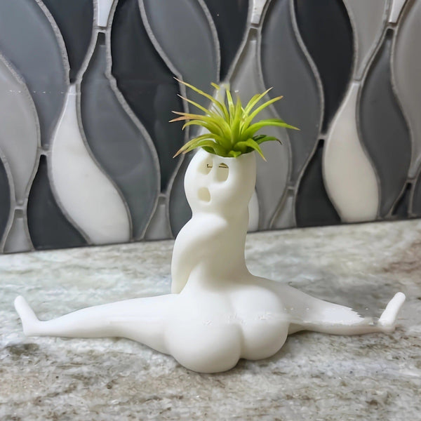 Baskets, Pots, Window Boxes Lively Air Plant Display Ghost Flower Pot Modern Simplicity Home Garden White