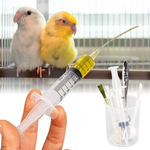 Feeders 5Pcs/Set Bird Parrot Feeder Spoon With Manual Syringe Baby Water Milk Medicine Feeding Needle Supplies