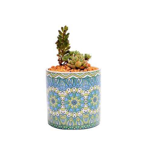 Baskets, Pots, Window Boxes Cute Mini Mandala Succulent Nordic Colour Pot