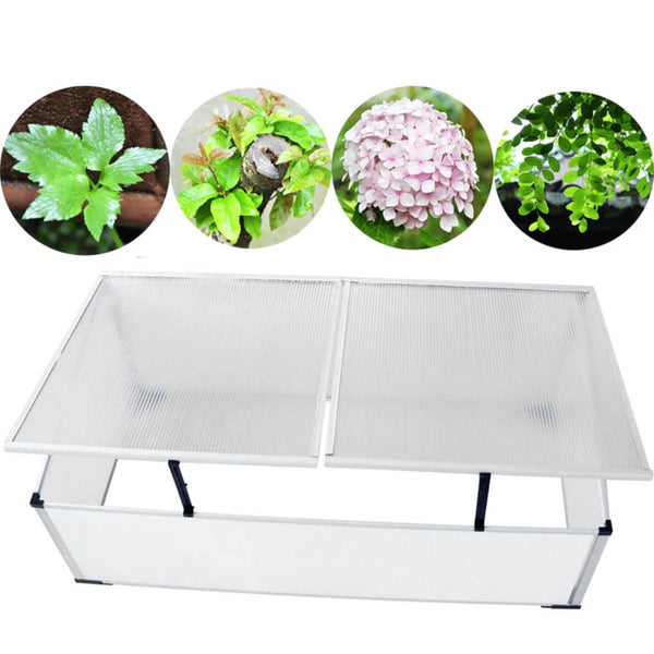 Greenhouses Cold Frame 2 Lids 110X41x55 Cm