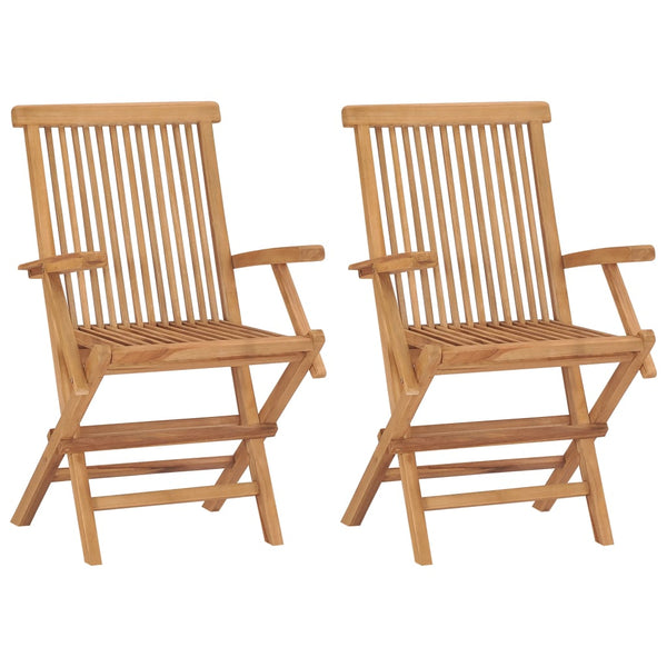 Patio Chairs Folding Garden Chairs 2 Pcs Solid Teak Wood