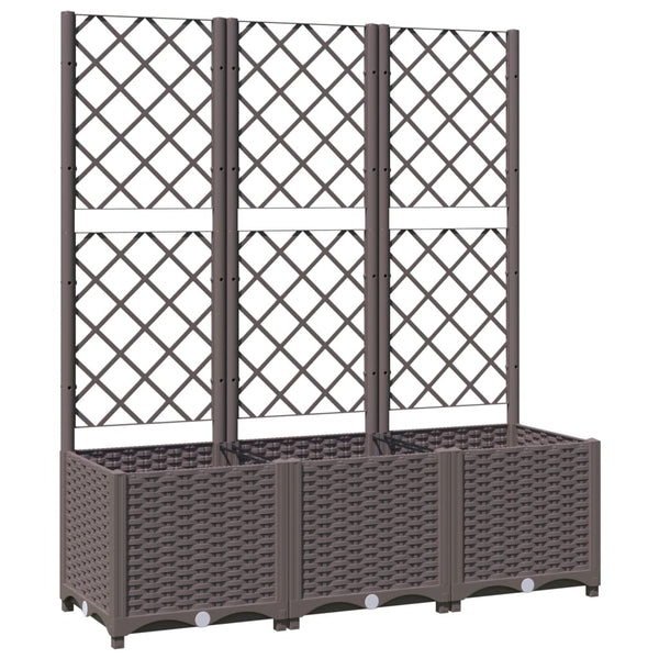 Raised Garden Beds Garden Planter With Trellis Brown 120X40x136 Cm Pp