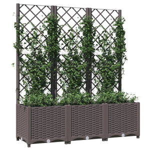 Raised Garden Beds Garden Planter With Trellis Brown 120X40x136 Cm Pp