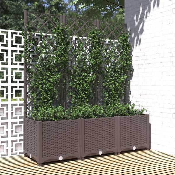 Raised Garden Beds Garden Planter With Trellis Brown 120X40x136 Cm Pp