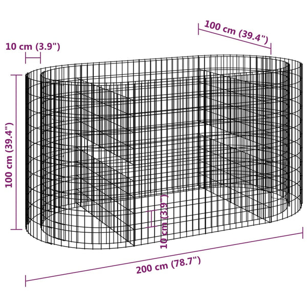 Gabion Raised Bed Galvanised Iron 200X100x100 Cm