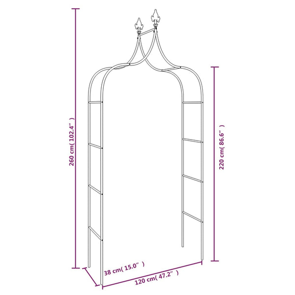 Garden Arches 2 Pcs Black 120X38x260 Cm Steel