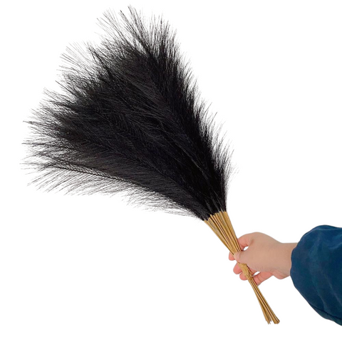 Floral Décor 20 Sticks Natural Black Pampas Grass Bouquet 21.65" Fluffy Dried For Home Decor And Events