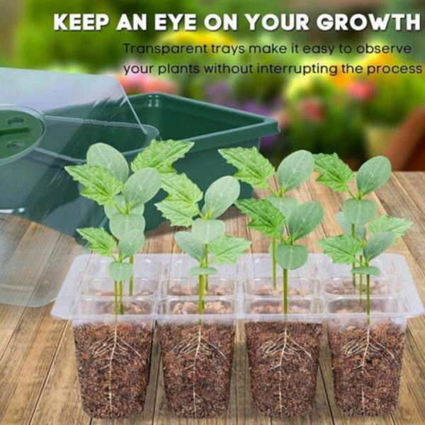 Seed Starter 10 Set 12 Hole Plant Seed Grow Box Propagation Nursery Seedling Starter Tray