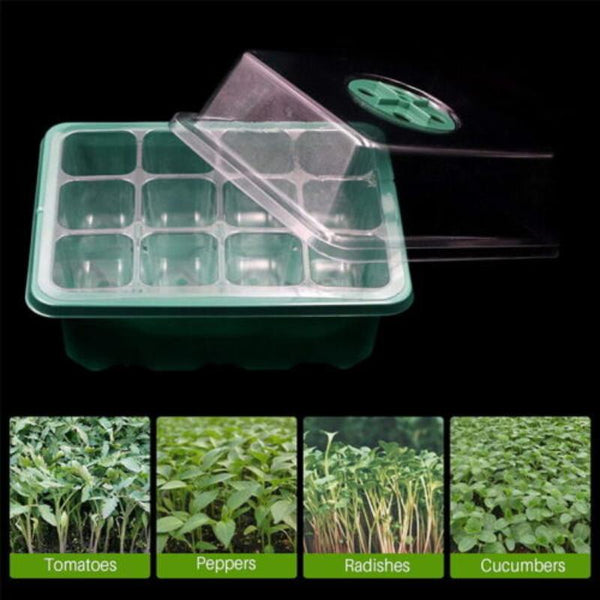 Seed Starter 10 Set 12 Hole Plant Seed Grow Box Propagation Nursery Seedling Starter Tray