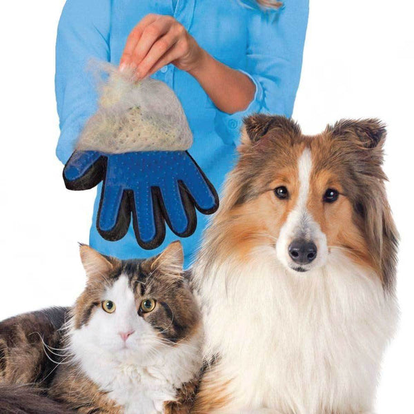 Dog Grooming Rooster Farms 2In1 Pet Deshedding And Massage Glove Dog Or Cat Hair Grooming Right Hand Mitt