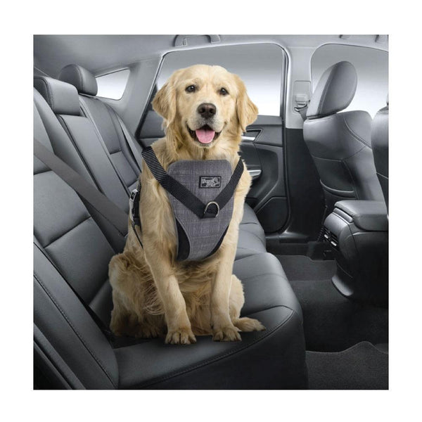 Harnesses L Dog Harness 2 In 1 Combo Car Travel Rides + Walks No Pull Leash Seat Belt