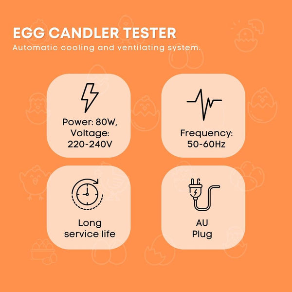 Incubators Electric 24 Egg Incubator + Accessories Hatching Eggs Chicken Quail Duck