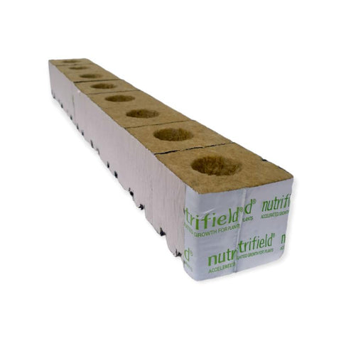 Hydroponic Growing Kits Nutrifield 75X75x65mm Stonewool 8Pk Planting Propagation Growing Assist Block