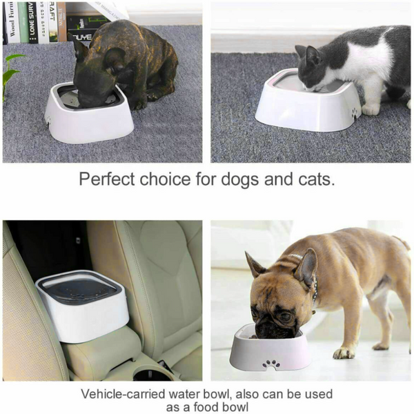 Dog Bowls Yes4pets 1 X Medium Pet No Spill Feeder Bowl Dog Cat Puppy Slow Food Interactive Dish Dispenser