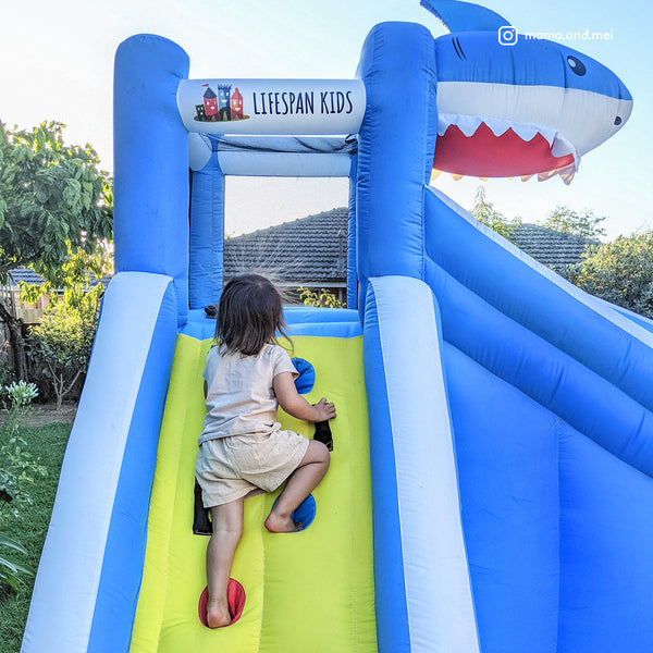 Inflatable & Kid Pools Lifespan Kids Sharky Slide & Splash Inflatable