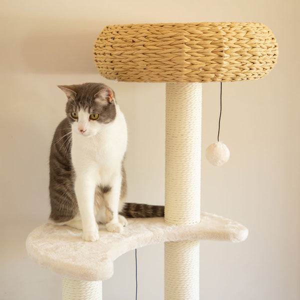 Furniture & Scratchers 5 Platform Plush And Wicker Cat Tree