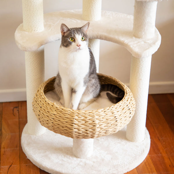 Furniture & Scratchers 5 Platform Plush And Wicker Cat Tree