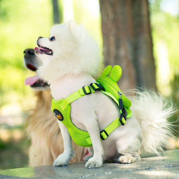 Harnesses Ondoing Pet Saddle Bag Dog Harness Backpack Hiking Traveling Outdoor Bags Cute Costume (Green Frog With Leash Set)M