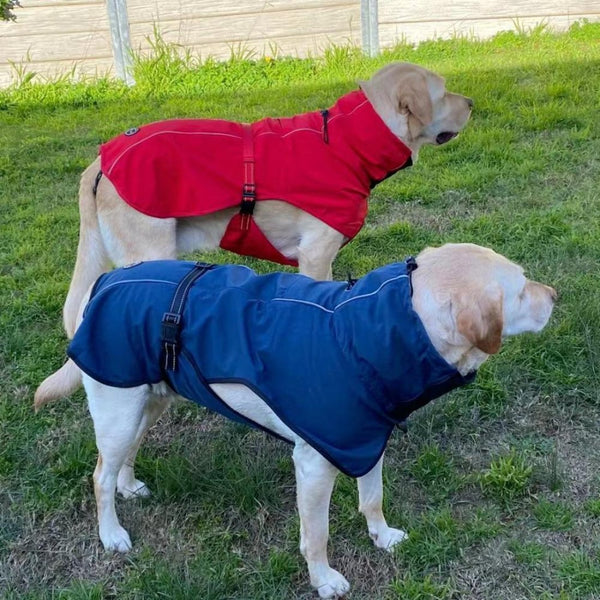 Dog Clothing & Shoes Pet Dog Raincoat Poncho Jacket Windbreaker Waterproof Clothes With Harness Hole