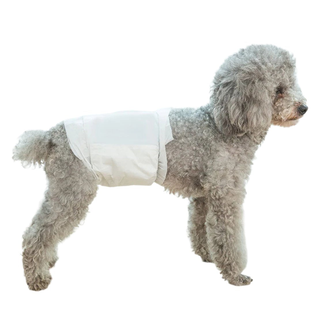 Dog Clothing & Shoes Ondoing Pet Disposable Diapers Dog Puppy Nappy Hygienic Male Female Wraps Toilet Trainer