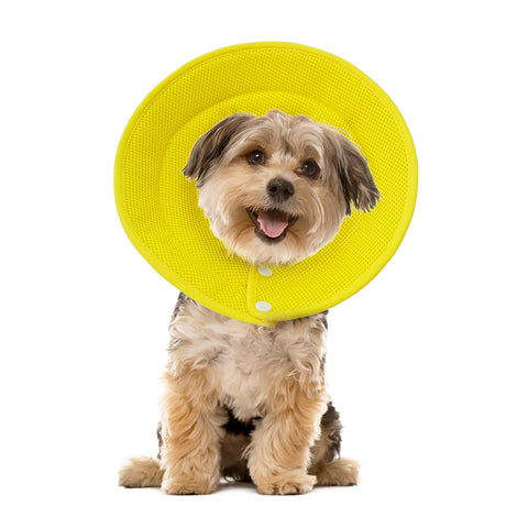 Dog Collars Ondoing Pet Dog Cat Elizabethan Collar Adjustable Cone Mesh Recovery Multicolor