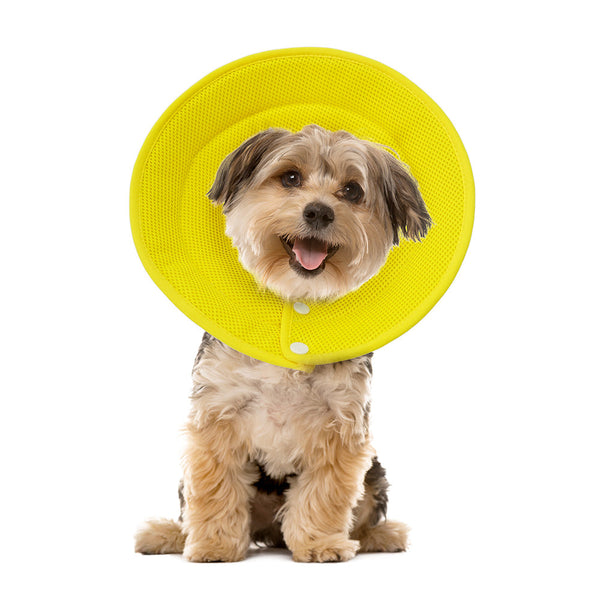 Dog Collars Pet Dog Cat Elizabethan Collar Adjustable Cone Mesh Recovery Multicolor