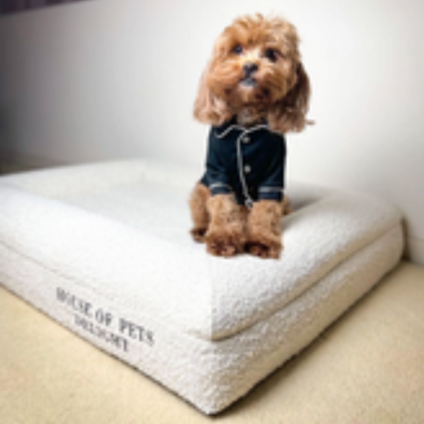 Pet Beds 50X Hopd Memory Foam Dog Bed In Boucl Medium