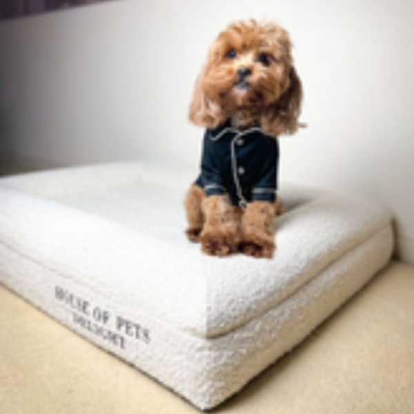 Pet Beds 50X Hopd Memory Foam Dog Bed In Boucl Large