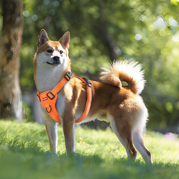 Leads & Head Collars Reflective Adjustable No Pull Vest Dog Harness Leash With Handle Walking Training Pet Orange