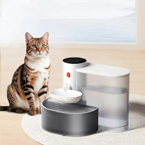 Pet Beds Smart Pet Water Dispenser Tilted Design Fresh Supply Automatic Bowl For Cats And Dogs