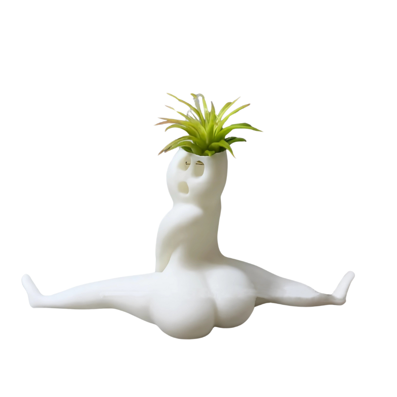 Baskets, Pots, Window Boxes Lively Air Plant Display Ghost Flower Pot Modern Simplicity Home Garden White