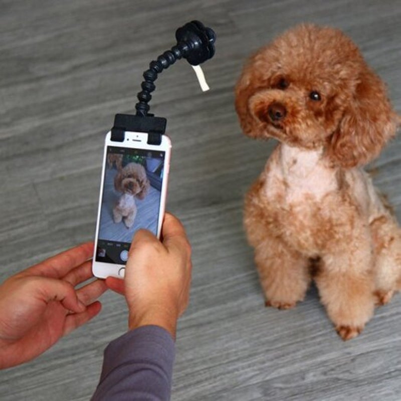 Pet Cameras Adjustable Selfie Stick For Pet Black