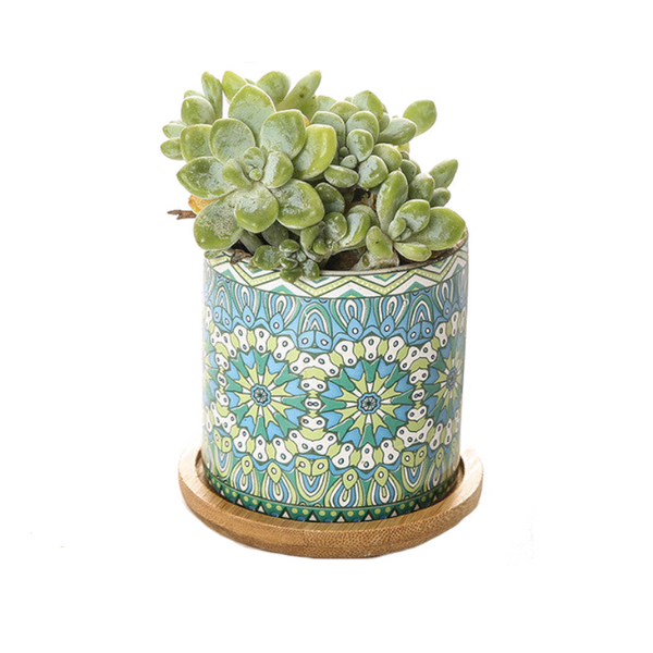 Baskets, Pots, Window Boxes Cute Mini Mandala Succulent Nordic Colour Pot