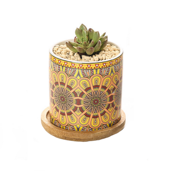 Baskets, Pots, Window Boxes Cute Mini Mandala Succulent Nordic Colour Pot