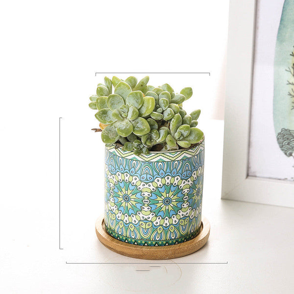 Cute Mini Mandala Succulent Nordic Colour Pot