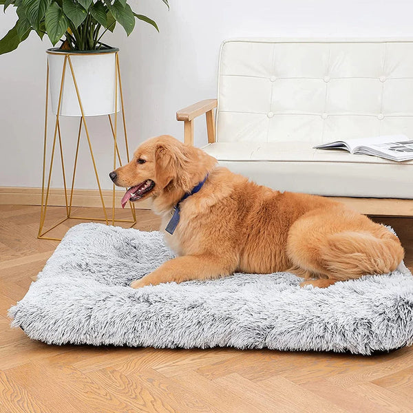 Pet Beds Pet Bed Light Apricot Removable Calming Soft Plush Cushion Mat