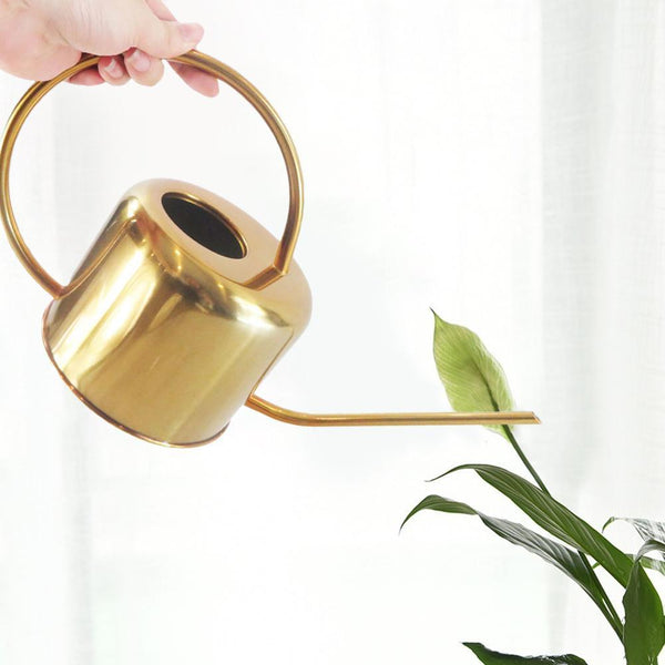 Gold Elliptical Watering Can Indoor Garden Home Decor